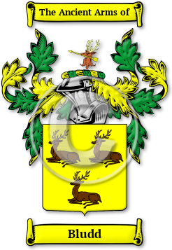 Bludd Family Crest Download (JPG) Legacy Series - 600 DPI