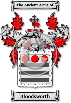 Bloodsworth Family Crest Download (jpg) Legacy Series - 150 DPI