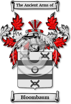 Bloombaum Family Crest Download (jpg) Legacy Series - 150 DPI
