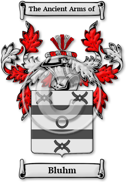 Bluhm Family Crest Download (JPG) Legacy Series - 600 DPI