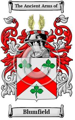 Blumfield Family Crest/Coat of Arms