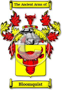 Bloomquist Family Crest Download (JPG) Legacy Series - 600 DPI