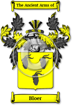 Bloer Family Crest Download (JPG) Legacy Series - 600 DPI