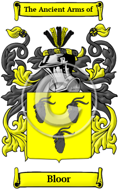 Bloor Family Crest Download (JPG) Heritage Series - 600 DPI