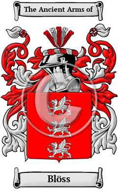 Blöss Family Crest/Coat of Arms