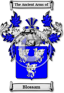 Blossam Family Crest Download (jpg) Legacy Series - 150 DPI
