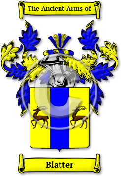 Blatter Family Crest Download (JPG) Legacy Series - 600 DPI