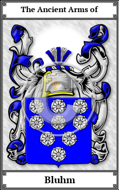 Bluhm Family Crest Download (JPG) Book Plated - 600 DPI
