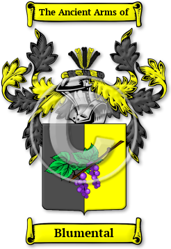 Blumental Family Crest Download (jpg) Legacy Series - 150 DPI