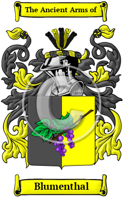 Blumenthal Family Crest Download (JPG) Heritage Series - 600 DPI