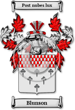 Blunson Family Crest Download (JPG) Legacy Series - 600 DPI