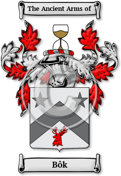 Bôk Family Crest Download (jpg) Legacy Series - 150 DPI