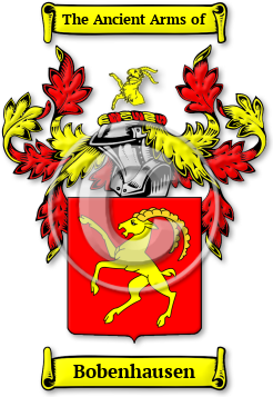 Bobenhausen Family Crest Download (jpg) Legacy Series - 150 DPI