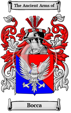 Bocca Family Crest/Coat of Arms