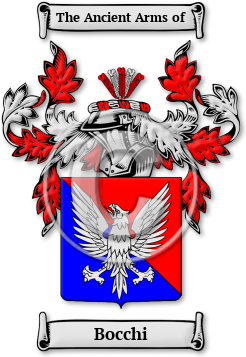 Bocchi Family Crest Download (jpg) Legacy Series - 150 DPI