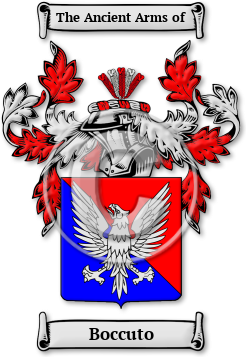 Boccuto Family Crest Download (jpg) Legacy Series - 150 DPI