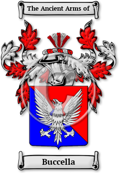 Buccella Family Crest Download (jpg) Legacy Series - 150 DPI