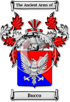 Bucco Family Crest Download (jpg) Legacy Series - 150 DPI