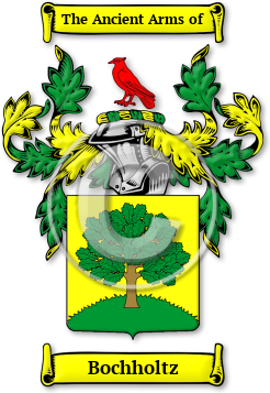 Bochholtz Family Crest Download (jpg) Legacy Series - 150 DPI