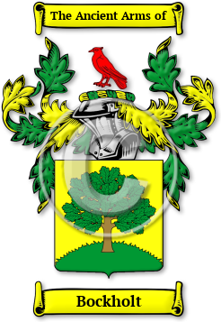 Bockholt Family Crest Download (JPG) Legacy Series - 600 DPI