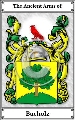 Bucholz Family Crest Download (JPG)  Book Plated - 150 DPI