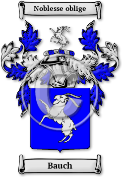 Bauch Family Crest Download (jpg) Legacy Series - 150 DPI