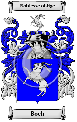 Boch Family Crest Download (JPG) Heritage Series - 600 DPI