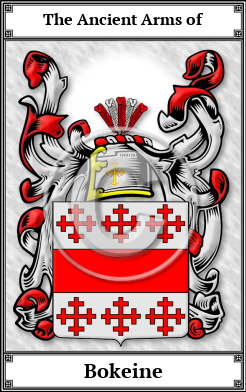 Bokeine Family Crest Download (JPG) Book Plated - 600 DPI