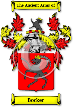 Bocker Family Crest Download (JPG) Legacy Series - 600 DPI