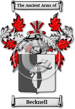 Becknell Family Crest Download (jpg) Legacy Series - 150 DPI