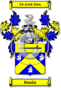 Bouin Family Crest Download (jpg) Legacy Series - 150 DPI