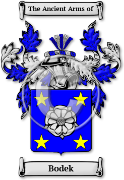 Bodek Family Crest Download (JPG) Legacy Series - 600 DPI