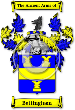 Bettingham Family Crest Download (jpg) Legacy Series - 150 DPI
