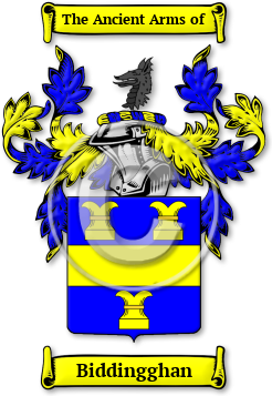Biddingghan Family Crest Download (jpg) Legacy Series - 150 DPI