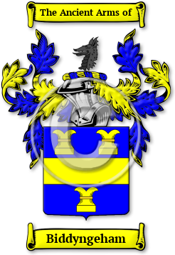 Biddyngeham Family Crest Download (jpg) Legacy Series - 150 DPI