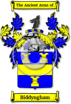Biddyngham Family Crest Download (jpg) Legacy Series - 150 DPI
