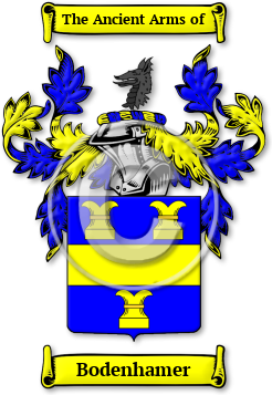 Bodenhamer Family Crest Download (jpg) Legacy Series - 150 DPI