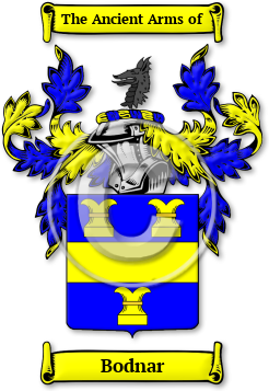 Bodnar Family Crest Download (JPG) Legacy Series - 300 DPI