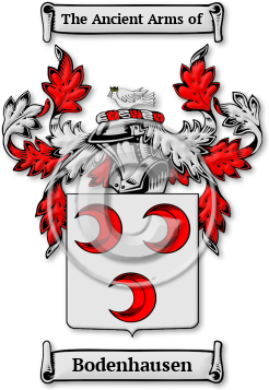 Bodenhausen Family Crest Download (JPG) Legacy Series - 600 DPI