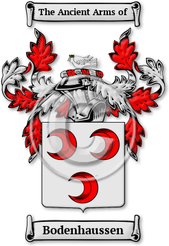 Bodenhaussen Family Crest Download (jpg) Legacy Series - 150 DPI