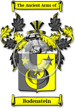 Bodenstein Family Crest Download (jpg) Legacy Series - 150 DPI