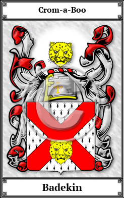 Badekin Family Crest Download (JPG) Book Plated - 600 DPI