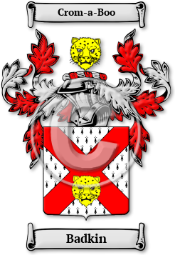 Badkin Family Crest Download (jpg) Legacy Series - 150 DPI
