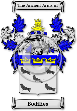 Bodilies Family Crest Download (jpg) Legacy Series - 150 DPI