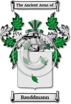 Bauddmann Family Crest Download (jpg) Legacy Series - 150 DPI
