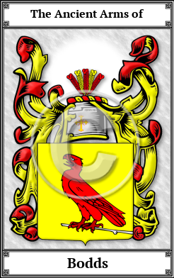 Bodds Family Crest Download (JPG) Book Plated - 600 DPI