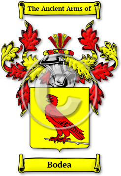 Bodea Family Crest Download (jpg) Legacy Series - 150 DPI