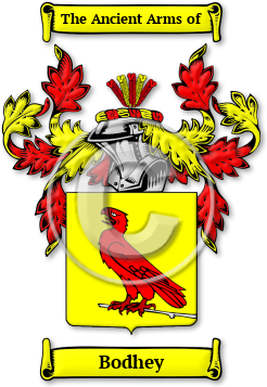 Bodhey Family Crest Download (jpg) Legacy Series - 150 DPI