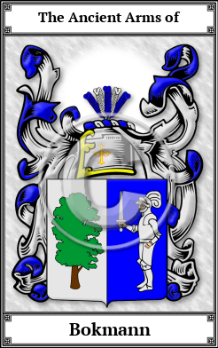 Bokmann Family Crest Download (JPG)  Book Plated - 150 DPI