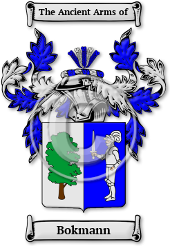 Bokmann Family Crest Download (jpg) Legacy Series - 150 DPI